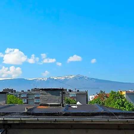 Rai 2* Sofía